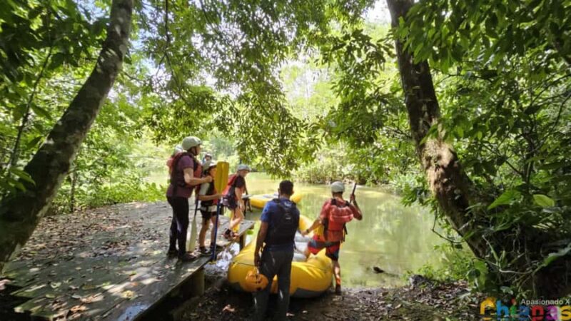 Palenque: Rafting and Hiking in the Lacandona Jungle - Exploring Lacandon Jungle: The Interpretive Hike