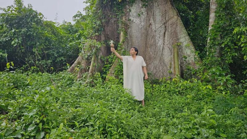 Palenque: Rafting and Hiking in the Lacandona Jungle - Physical Requirements and Recommended Gear