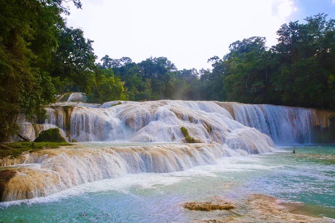 PALENQUE RUINS, AGUA AZUL and MISOL-HA (Private) - Agua Azul: The Most Famous Waterfall in the Region