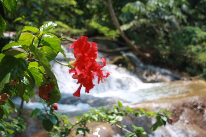 PALENQUE RUINS, AGUA AZUL and MISOL-HA (Private) - Comfortable Private Transport for a Stress-Free Day