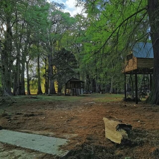 Palenque: Yaxchilan, Bonampak and Lacanja Jungle Adventure - Guided Jungle Hike Through the Lacandon Forest