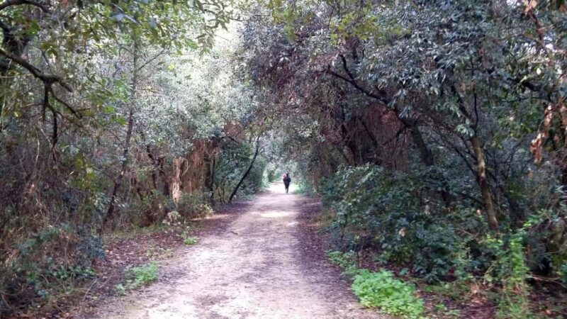 Palermo: Day trip to Monte Pellegrino - Visit the Cave of Santa Rosalia, Palermo’s Patron Saint