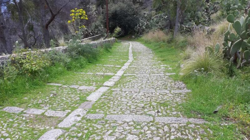 Palermo: Day trip to Monte Pellegrino - Practical Tips for a Successful Hike