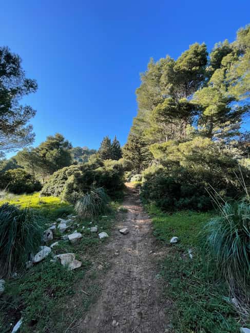 Palermo: Monte Gallo Trekking Tour with Picnic - Explore the Scenic Monte Gallo Trekking Tour with a Delicious Picnic in Sicily