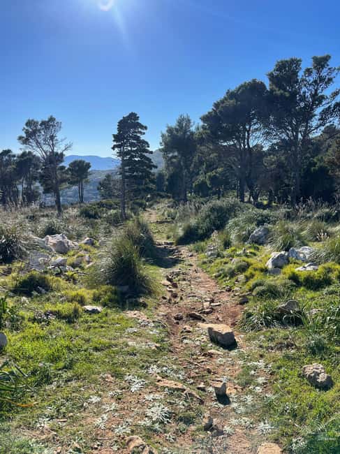 Palermo: Monte Gallo Trekking Tour with Picnic - Hiking Through Monte Gallo’s Trails