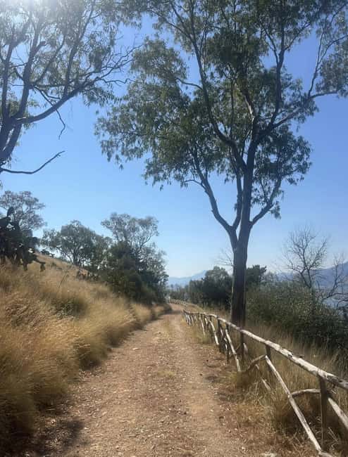 Palermo: Monte Pellegrino Hike, Sanctuary & Juice - The Natural Beauty of Monte Pellegrino’s Flora and Fauna