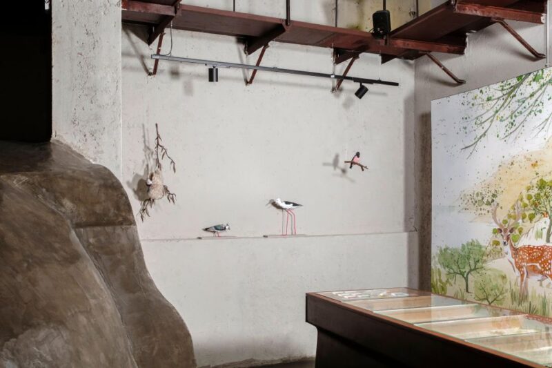 Palermo: sensorial experience of nature and ecology - Explore Palermo’s Natural World for Just $9