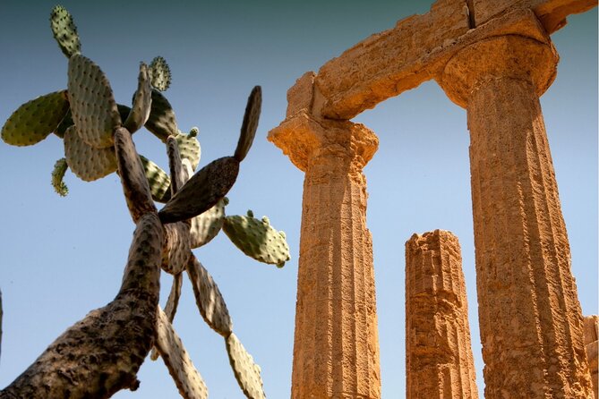 Palermo to Siracusa: stop at Valley of Temples & Roman Villa - Discovering the Roman Villa del Casale near Piazza Armerina