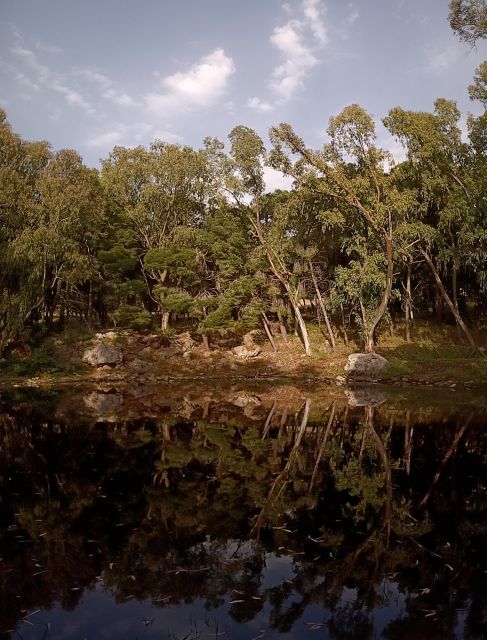 Palermo: Treasures of Monte Pellegrino - Who Will Most Appreciate This Tour?