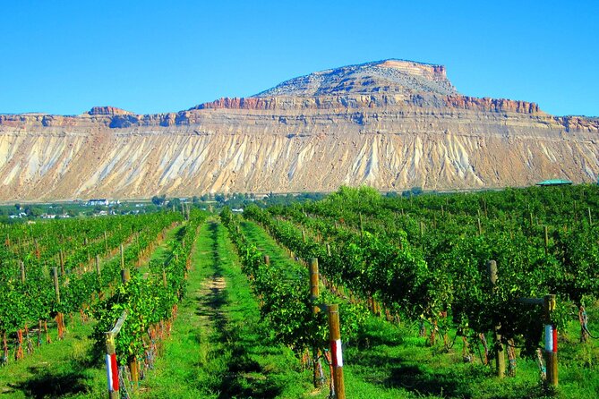 Palisade Wine Tour Luxury Wine Tasting Experience - What’s Included and What Not