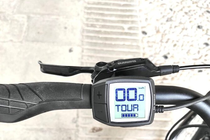 Palladian E-Bike Rental in & around Vicenza - Who Will Love This Palladian E-Bike Rental