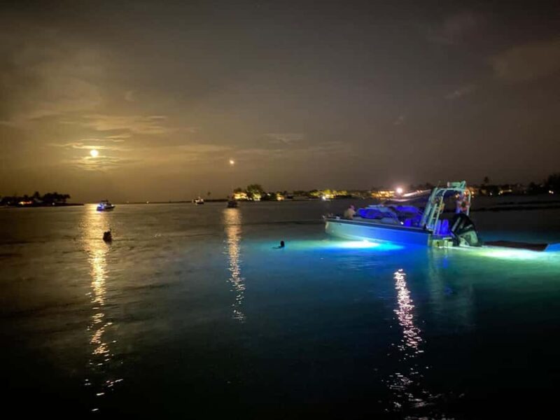 Palm Beach Luxury Day Boat Cruises - Duration and Booking Flexibility