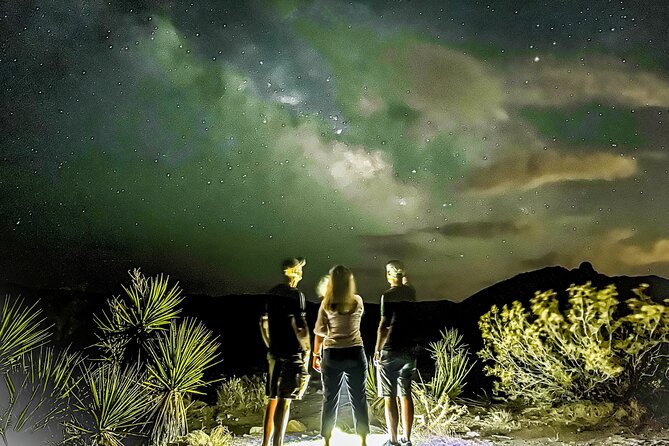 Palm Springs Stargazing Tour with Night Vision Goggles - Comparing This Tour to Other Sightseeing Options