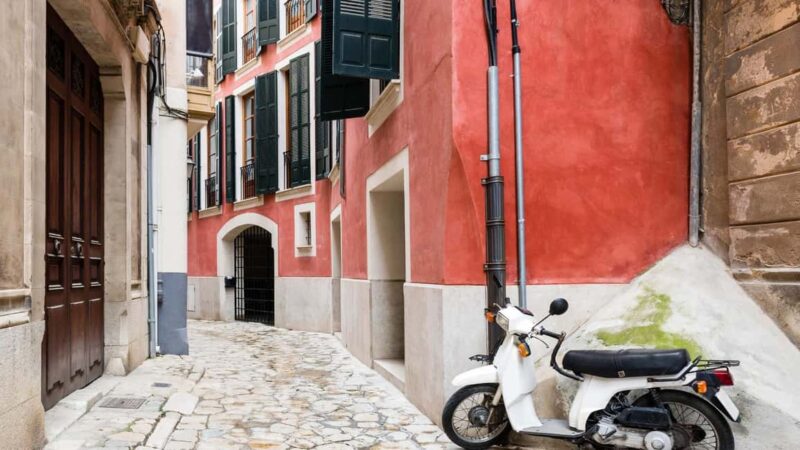 Palma: A Day of Discovery  Cathedral, Culture & Local Cuisine - Key Points