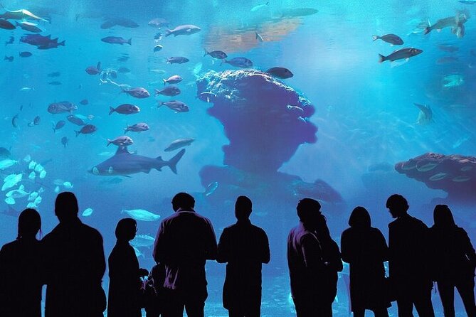 Palma Acquarium with Transfer - Discover Palma Aquarium with Convenient Transfer and Flexible Ticket Options