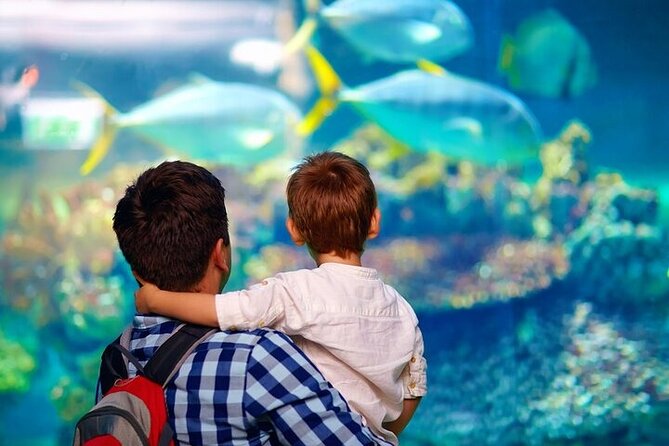 Palma Acquarium with Transfer - Ticket Options: Standard, Silver, and Gold Packages
