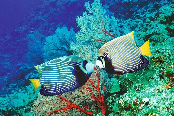 Palma Acquarium with Transfer - What’s Included and What’s Extra