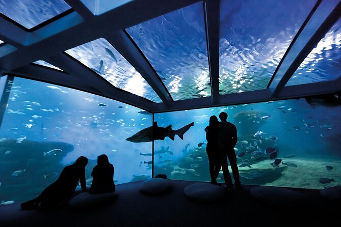 Palma Acquarium with Transfer - Meeting Point and Timing Details