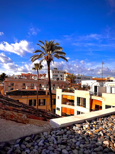 Palma authentically. City tour with snacks and wine - Exploring Palmas Historic Heart