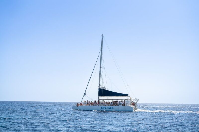 Palma: Catamaran Cruise with Swimming and Snorkelling - Highlighted Stops: Swimming at Cap Enderrocat and Cala Vella