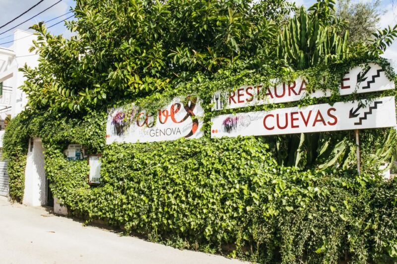 Palma: Caves of Genova Ticket & Digital Audio Guide - Key Points