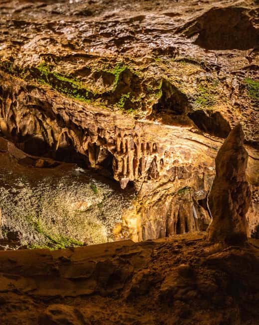 Palma: Caves of Genova Ticket & Digital Audio Guide - The Location of the Caves in Palma de Mallorca