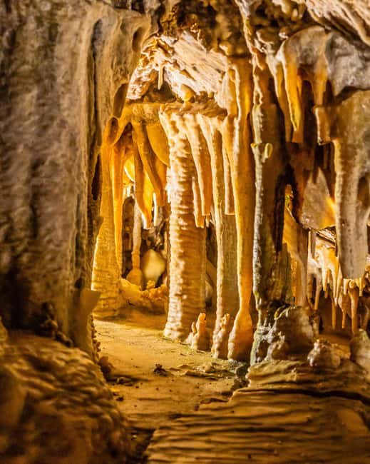 Palma: Caves of Genova Ticket & Digital Audio Guide - What Is Not Included