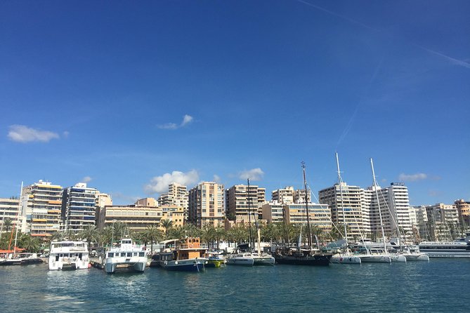 Palma de Mallorca Bay Boat Trip - Itinerary Highlights and Stops