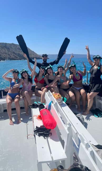 Palma de Mallorca: Cala Vella Snorkeling Adventure - Sailing through the Bahía de Palma Marine Reserve