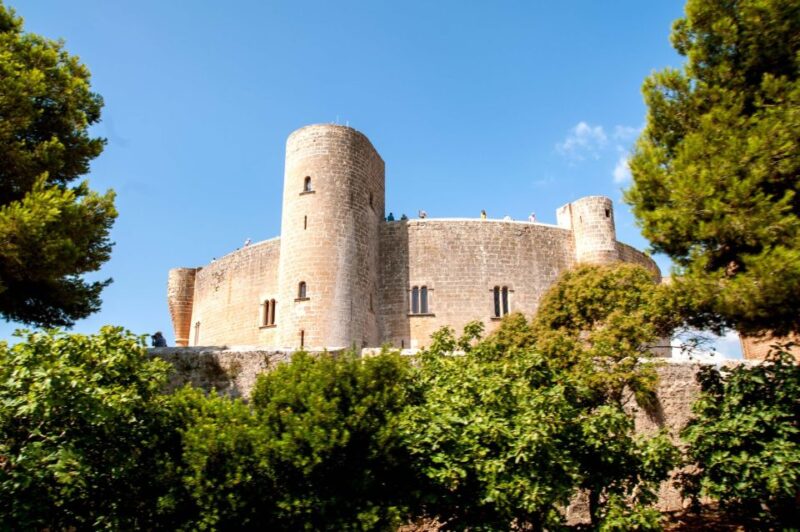 Palma de Mallorca: City Sightseeing Hop-On Hop-Off Bus Tour - Final Thoughts on the Palma de Mallorca Hop-On Hop-Off Tour