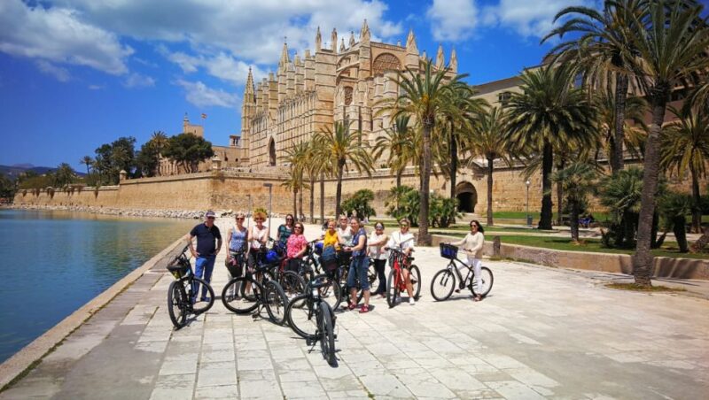 Palma de Mallorca: Guided Bicycle Tour - Discovering Palma’s Cultural and Artistic Scene