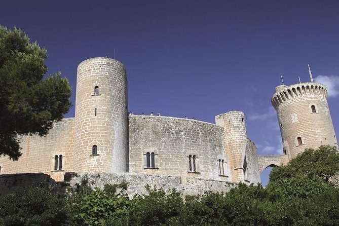 Palma de Mallorca Guided Tour with Hotel Pick up - Visiting the Vibrant Mercat de l’Olivar