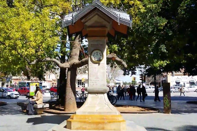 Palma de Mallorca Guided Tour with Hotel Pick up - Exploring Main Shopping Streets and Historic Plaça Major