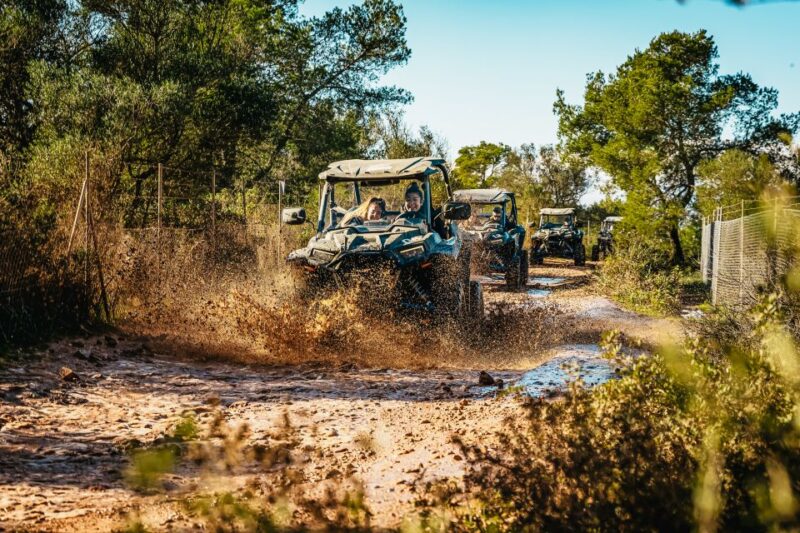 Palma de Mallorca: Off/On Road Buggy Tour with 2 or 4 Seater - Off-Road Thrills and Scenic Views