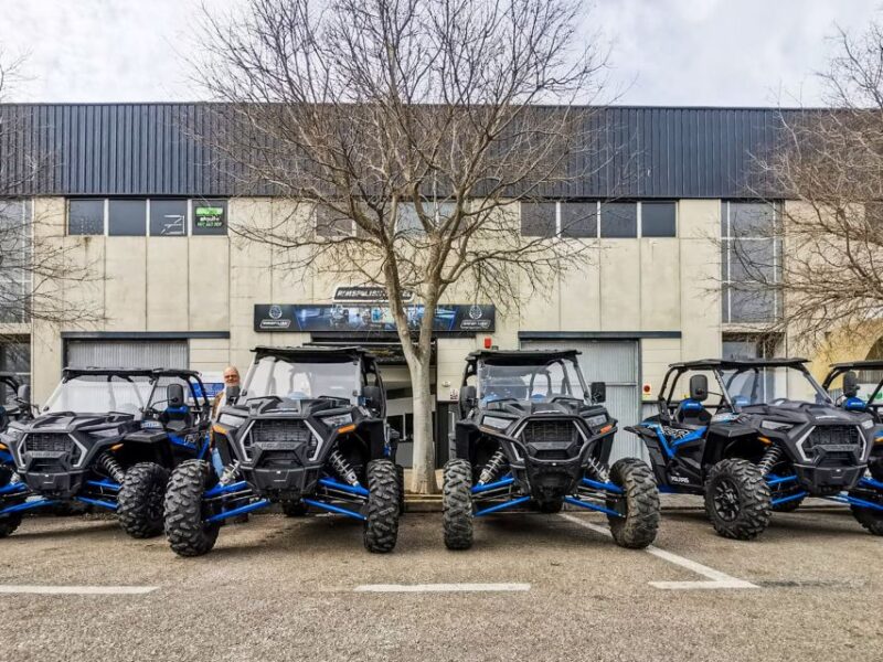 Palma de Mallorca: Off/On Road Buggy Tour with 2 or 4 Seater - Stops at Llucmajor and Randa