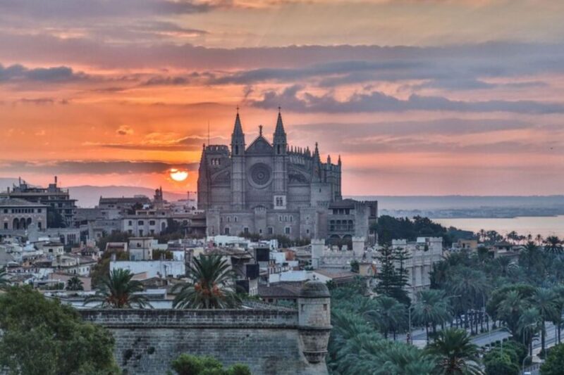 Palma de Mallorca: Private custom tour with a local guide - Starting Points and Pickup Options in Palma