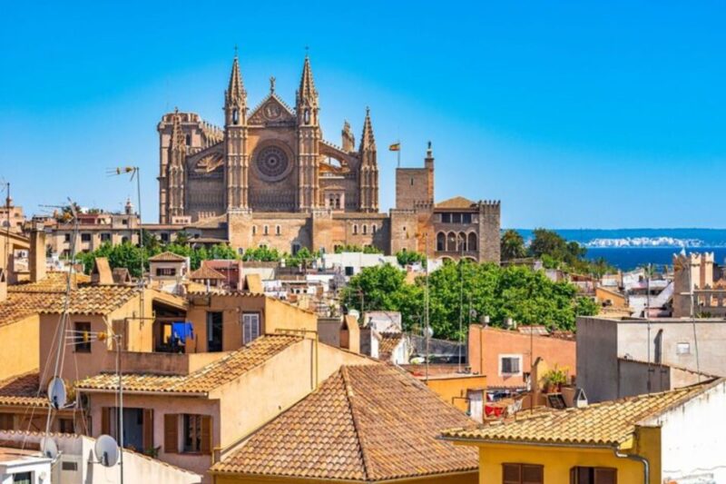Palma de Mallorca: Private custom tour with a local guide - Why This Tour Stands Out