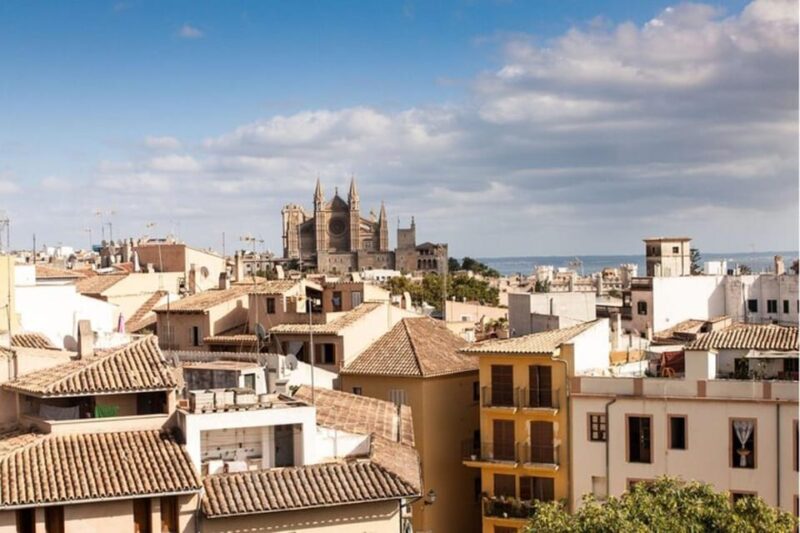 Palma de Mallorca: Private Custom Tour with a Local Guide - Discover Palma’s Main Sights with a Local Guide