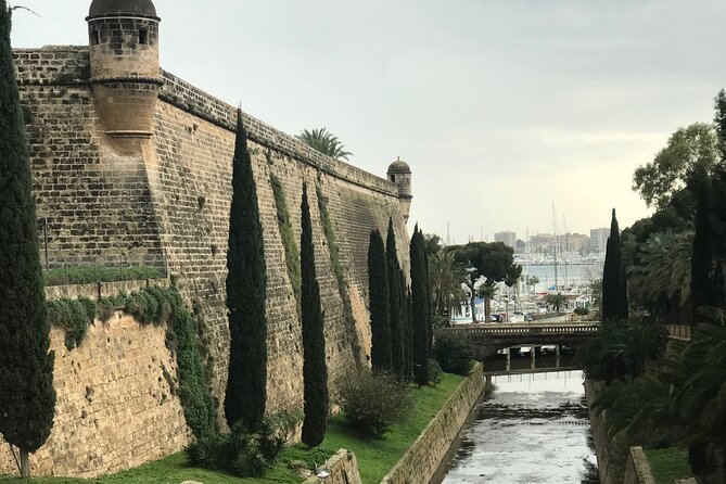 Palma de Mallorca: PRIVATE Local Food And Cathedral Experience - Shopping for Cookies from Nuns and Exploring Palma’s Hidden Wall Signs