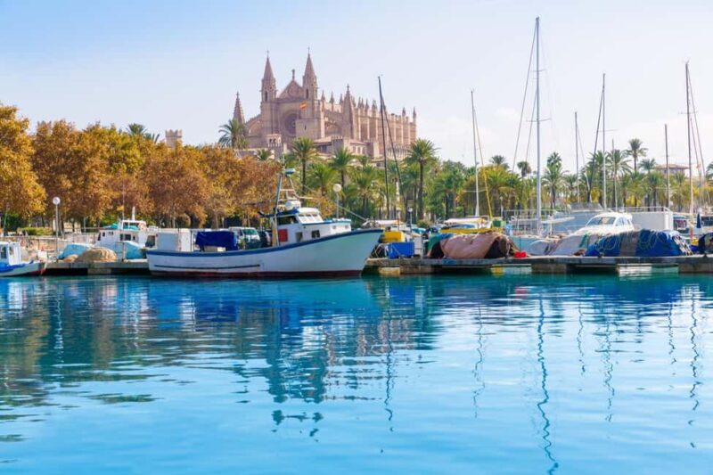 Palma de Mallorca: Private Walking Tour - Practical details: logistics and accessibility