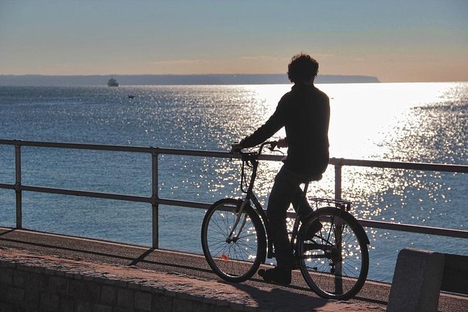 Palma de Mallorca Shore Excursion Bike Tour (Transfer Included) - Who Will Most Enjoy This Bike Tour