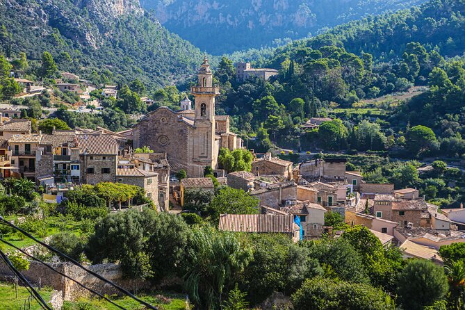 Palma de Mallorca Shore Excursion: Private Tour of Valldemossa, Soller and Serra de Tramuntana - Exploring Soller: Town and Orange Grove Delights