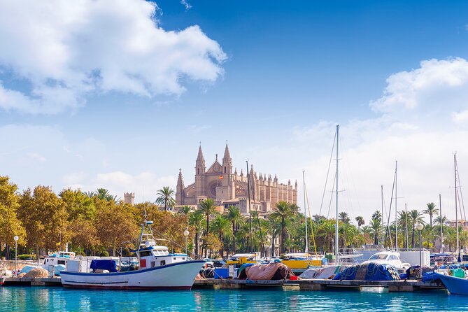 Palma de Mallorca Sightseeing Day Tour - Key Points