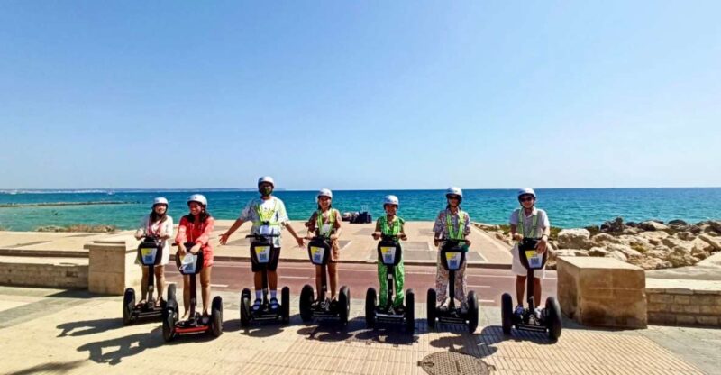 Palma de Mallorca: Sightseeing Segway Tour with Local Guide - Palma de Mallorca Segway Tour: An Exciting 1-Hour Journey