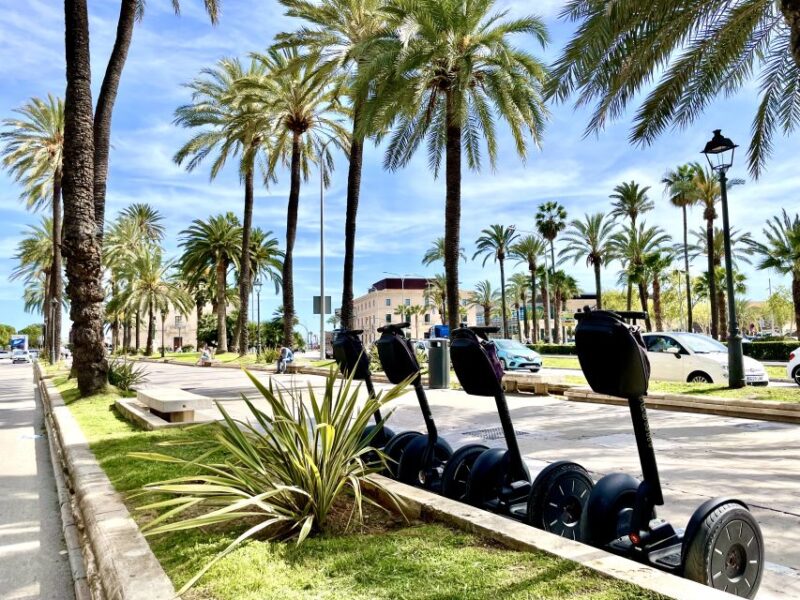 Palma de Mallorca: Sightseeing Segway Tour with Local Guide - Cruising Through Palma’s Old Town Streets