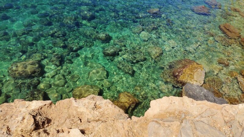 Palma de Mallorca: SmallGroup Tour by Locals in Hidden Coves - Booking, Cancellation, and Language Options