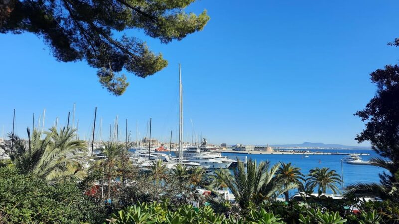 PALMA DE MALLORCA & SOLLER MIT BAHN & STADTFÜHRUNG ab Palma - Wooden Tram to Puerto Soller: More Than a Hundred Years Old