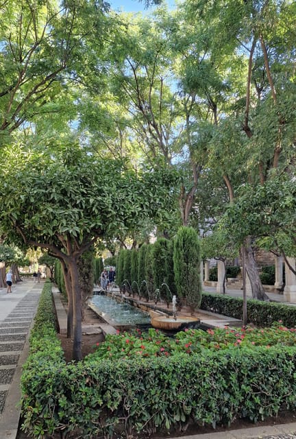 PALMA DE MALLORCA & SOLLER MIT BAHN & STADTFÜHRUNG ab Palma - Final Thoughts on this Mallorca Excursion