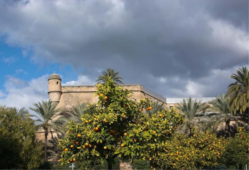 Palma de Mallorca: Walking Tour and Cathedral with Pastry - Logistics and Tour Details