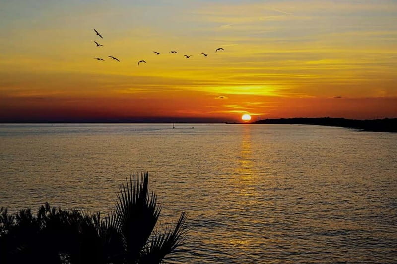 Palma: Electric Mountain Adventure: Ride Higher, Go Farther! - Bellver Castle and Its Panoramic Vantage Point